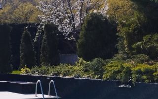 Casă de vânzare Exclusivista - Poză 9