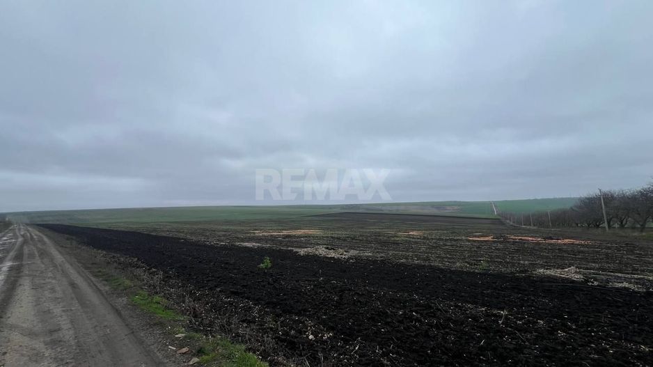 Teren Agricol 13,57 HA com. Cruzești mun. Chișinău - Poză 11