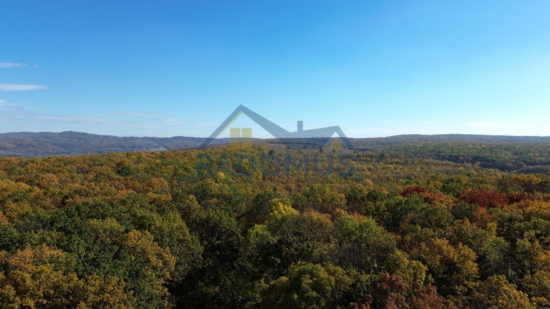 TEREN INTRAVILAN ÎN PĂDURE LA VĂRBILA - PRAHOVA – COMISION 0% - Poză 5