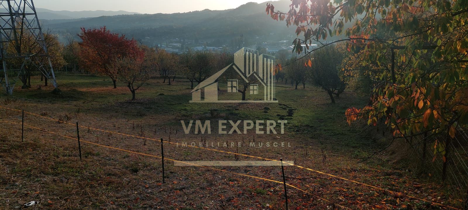 TEREN INTRAVILAN 10385 MP, MARCUS, CAMPULUNG - Poză 2