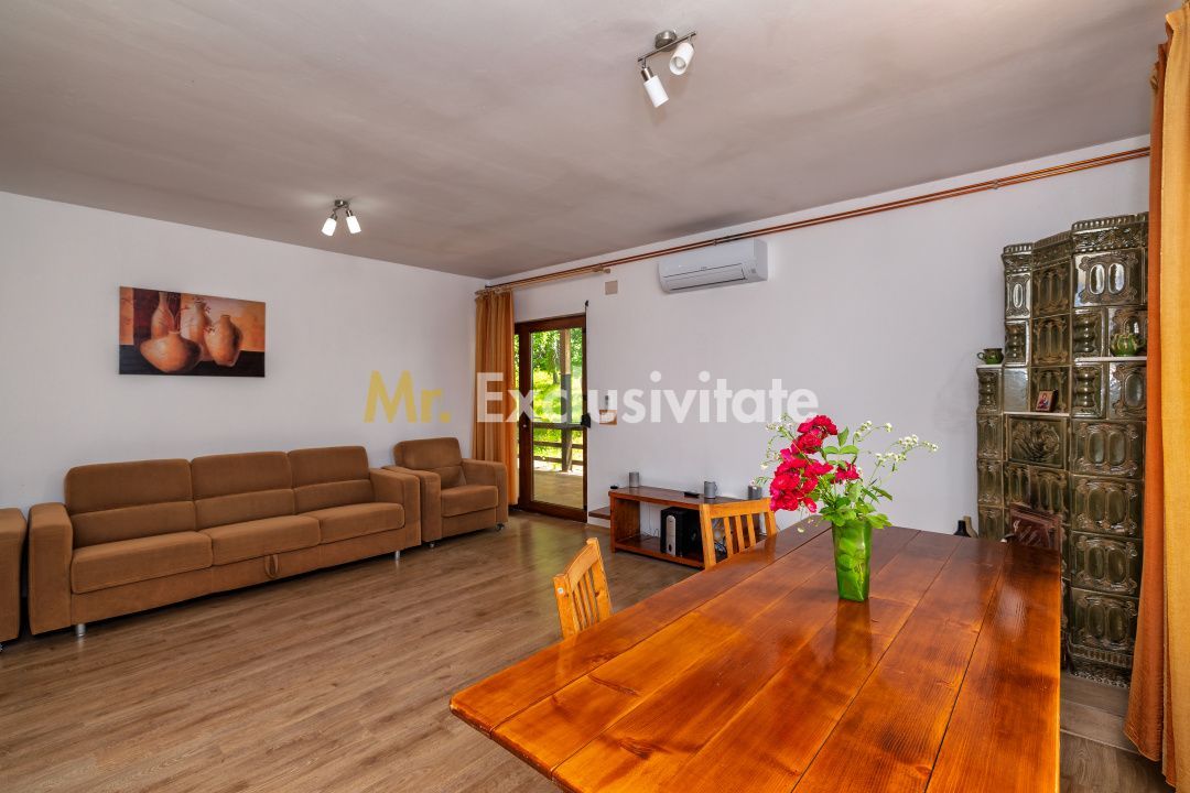 Casa moderna si casa bunicii + 6300 mp teren,Oaza autentica in Corbi Arges- - Poză 11