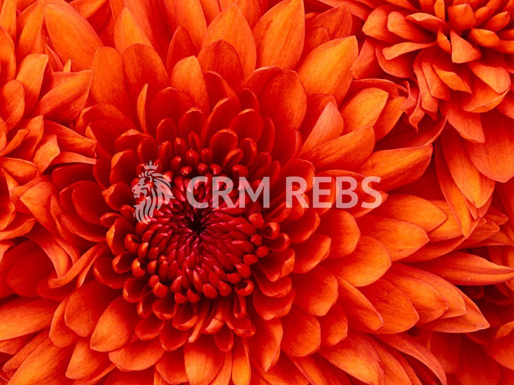 Apartament cu 3 camere în zona Dristor - Poză 20