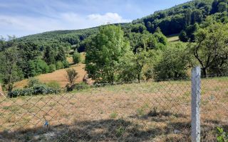 Teren intravila/extravilan, Rebrisoara - Poză 4