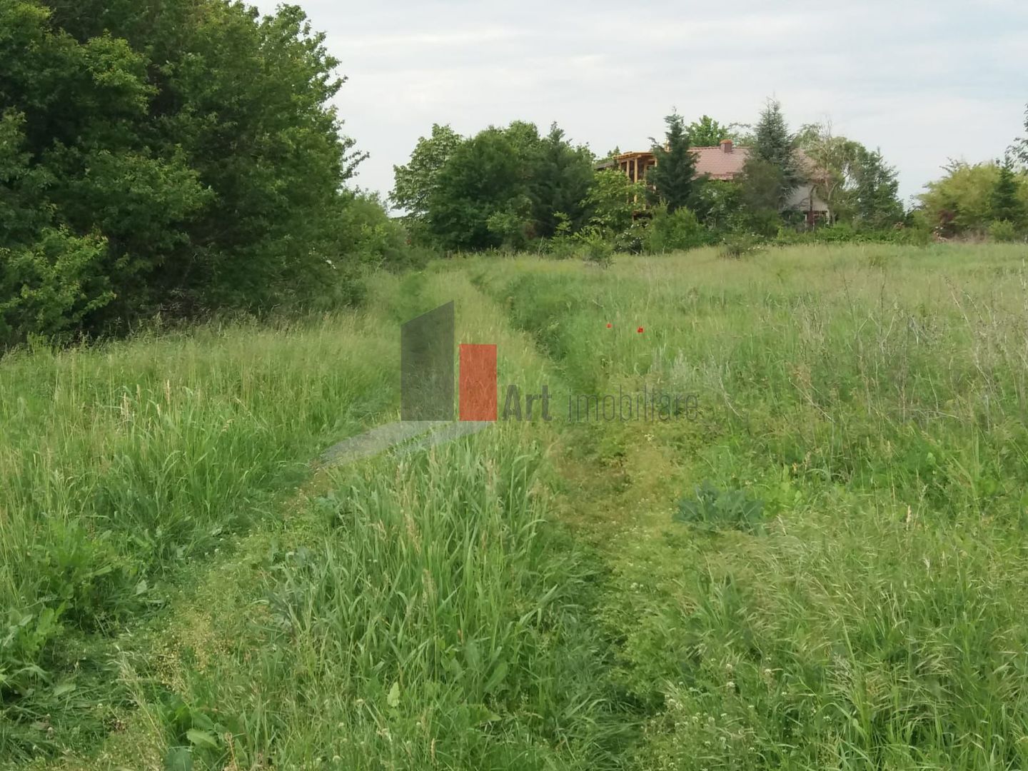 Teren cu iesire la lac - Poză 23