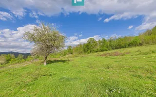 Casă cu teren de 17.681 mp, în loc. Hălmăgel, Arad - Poză 23