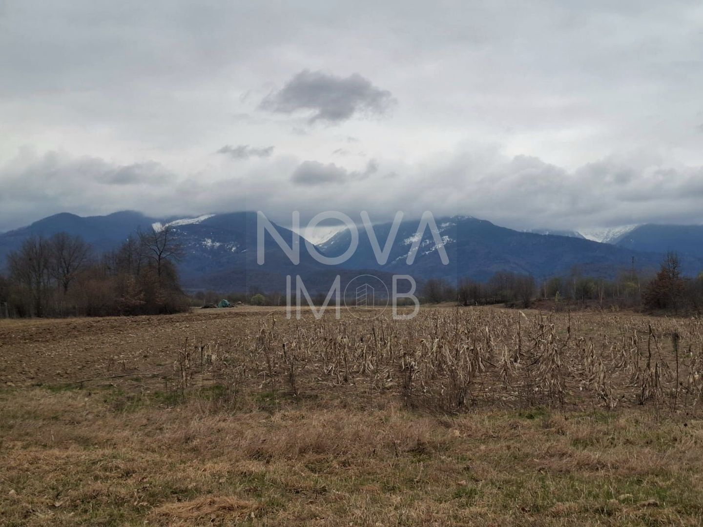 Teren extravilan de vanzare - Arpasul de Sus - Poză 2