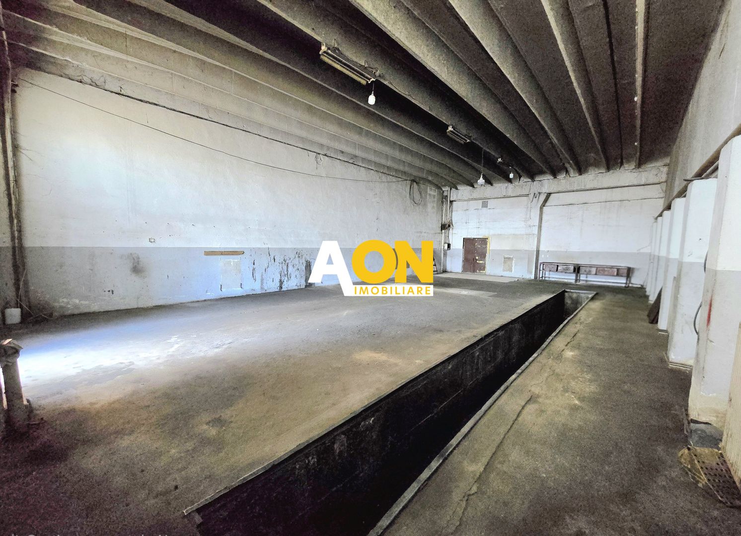 Spațiu Industrial, 170mp, Pretabil P/U Service Auto, Zona Dedeman - Poză 4