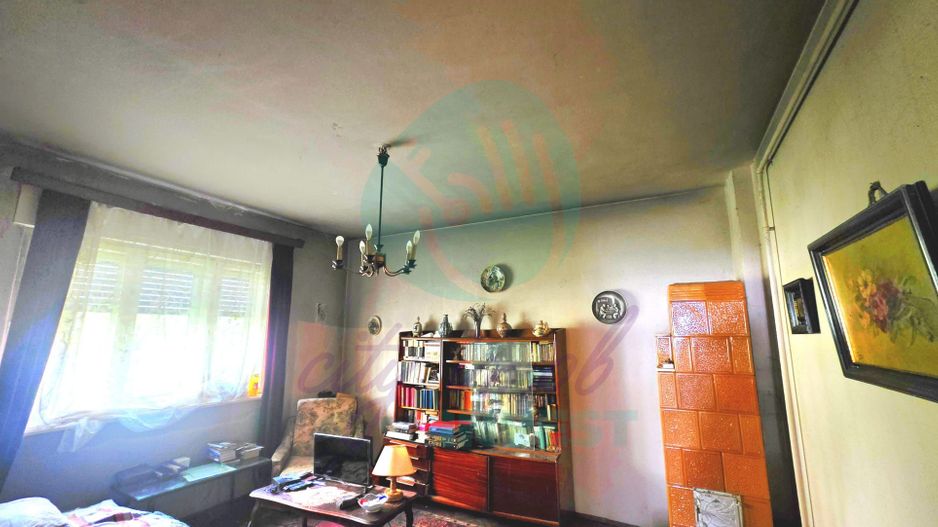 Parter vilă + demisol | Aviatorilor – Herăstrău | Grădină - Poză 7