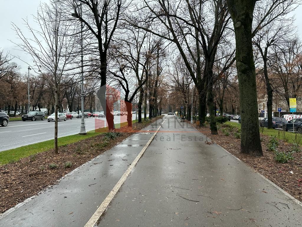 Unic, intre Victoriei si Charles de Gaulle - Poză 2
