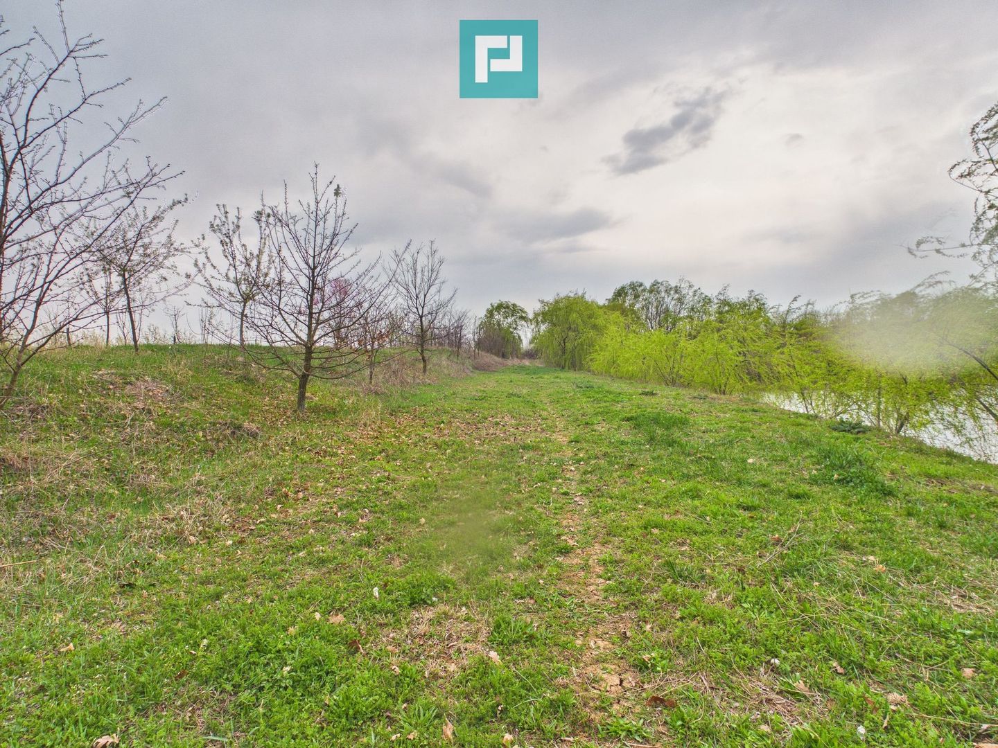 Teren 1 ha cu baltă populată – Alioș (Mașloc) - Poză 5