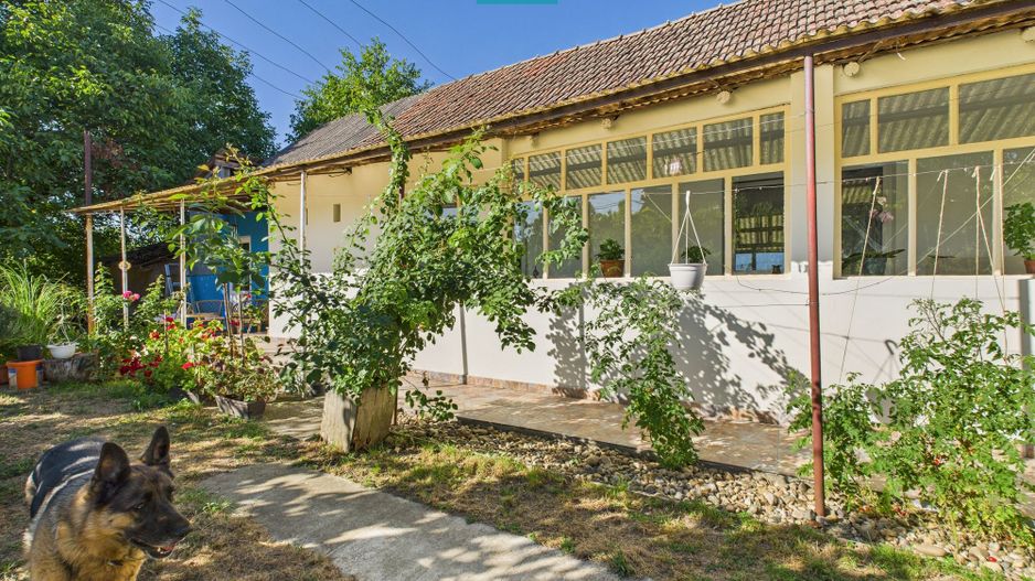 Casă 4 camere centru Vinga - Poză 2