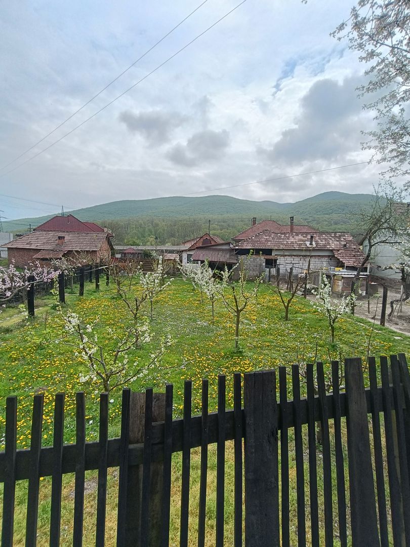 Casa cu 3 camere, 150 mpu, mobilata, utilata, garaj, curte, Ampoita - Poză 19