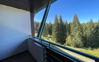 Apartament 2 camere/ Silver Mountain Resort & Spa - Poză 15