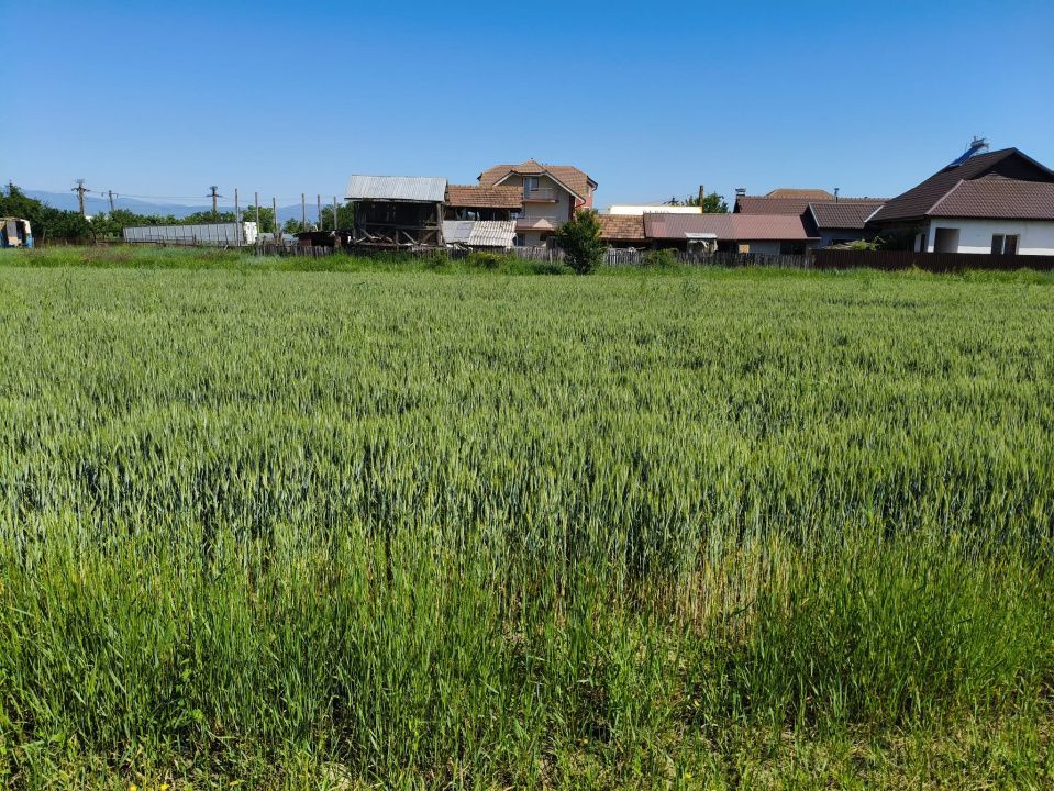 Teren 10.294 mp de vânzare Târgu Jiu | Intravilan + Extravilan | Utilități - Poză 5