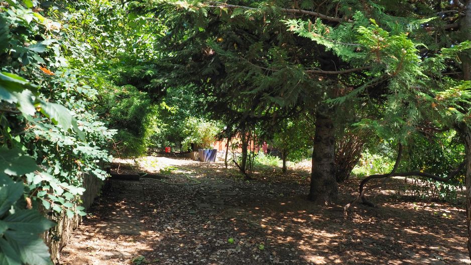 NOU-VILA 6 CAMERE SNAGOV IZVORANI LAC -TEREN 1800mp - Poză 21