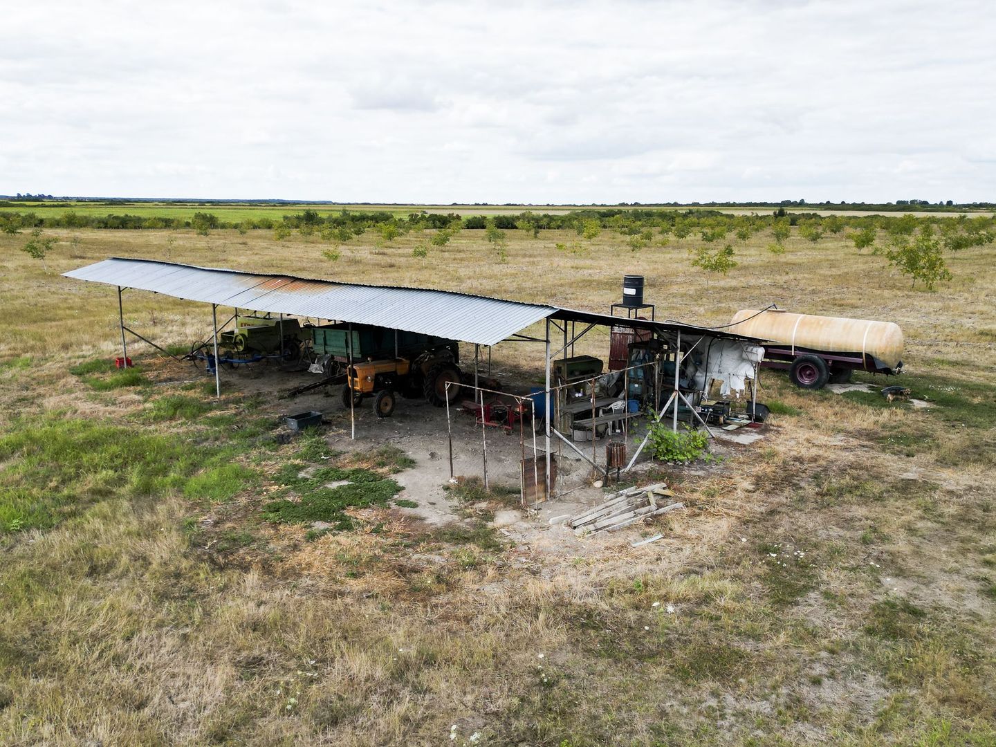 Livadă BIO de nuci de vânzare lângă Cermei - Poză 6