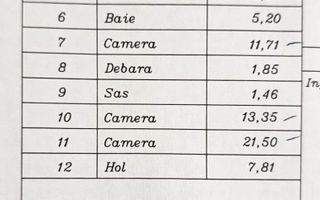 4 camere Stirbei Voda - Schiță 13