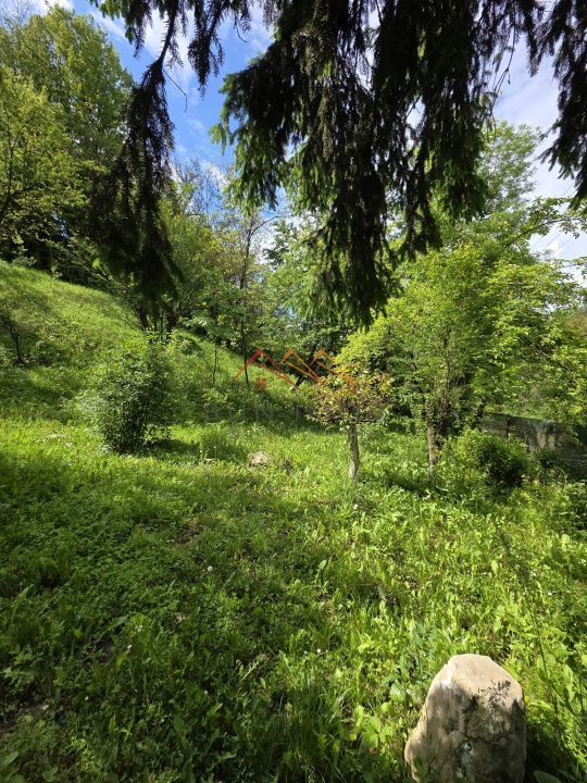 Casa rustica, teren 2000 mp, peisaj de vis, Provita de Jos, Prahova - Poză 14