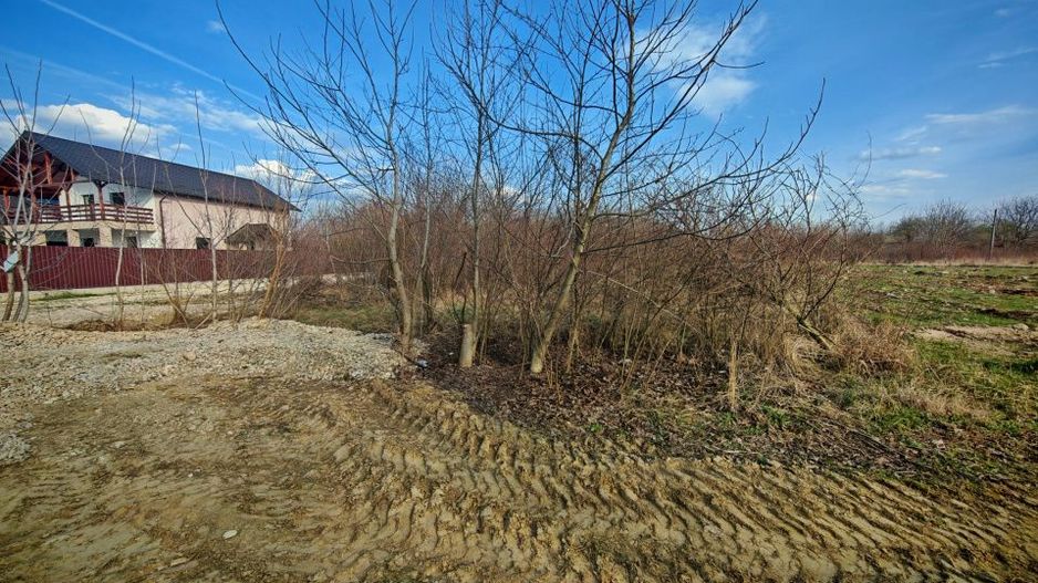 Teren intravilan 2273 mp in Pitesti, str. Mateias, iesire spre Campulung Muscel - Poză 3