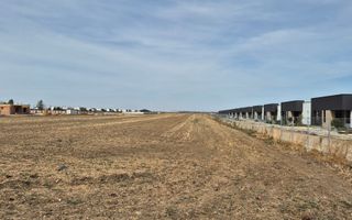 Teren intravilan 16.248 mp - Domnesti - Poză 1