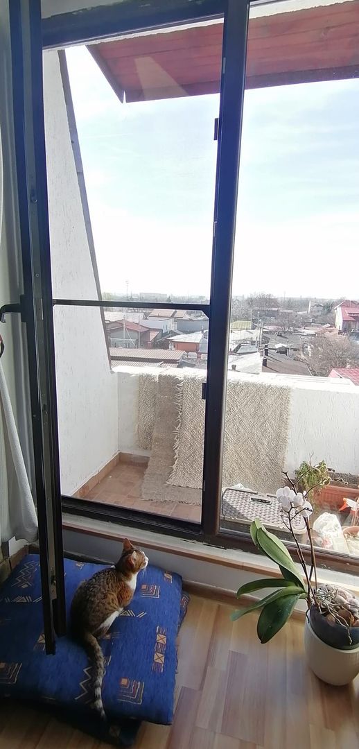 Apartament luminos | Bucurestii Noi | Chitila - Poză 9