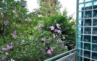 Apartament cu 2 camere, complet renovat, zonă Centrala. - Poză 1