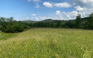 Teren 6500 mp-Lac-vedere panoramica-ideal cabana-Cusma - Poză 4