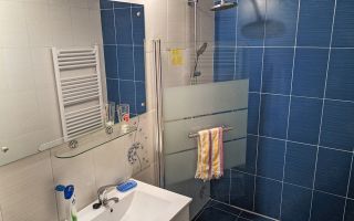 Apartament renovat, voluminos, Garabet Ibraileanu, Pacurari - Poză 8