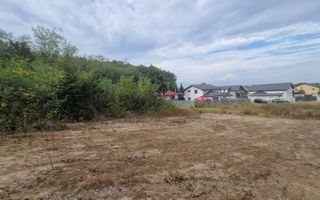 AZURA Imobiliare - Vanzare teren Hintesti, langa padure, 300m din DN - Poză 10