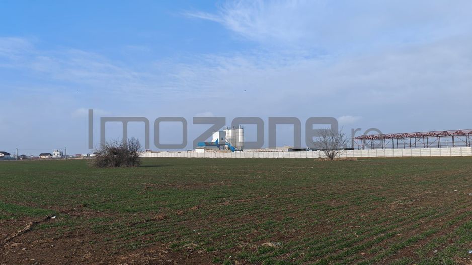 Dragomiresti Valea - Langa Centura, teren 31.200 mp, 35E/mp - Poză 3