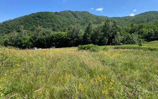 Teren intravilan 4600mp - 55 EUR/mp - EXCLUSIVITATE CISNADIOARA - COMISION 0% - Poză 11