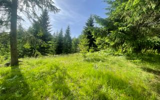 Teren intravilan 1000 mp cu utilitati-ideal cabana, pensiune-Colibita - Poză 2