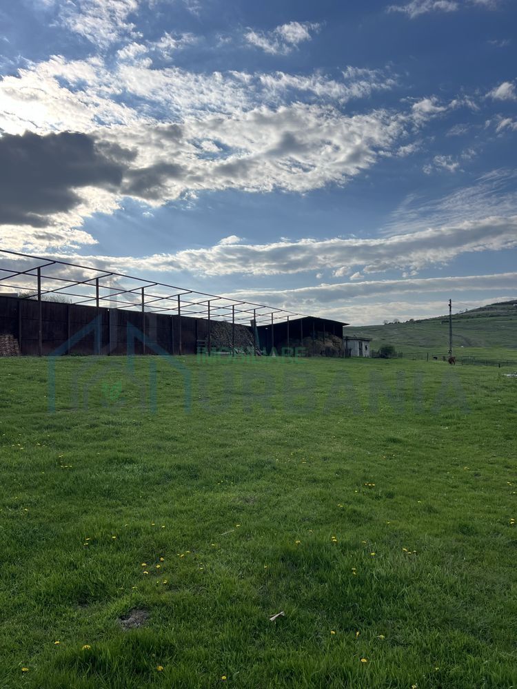 Teren 4000 mp cu casă și construcții anexe, Buhalnița, județul Iași - Poză 6