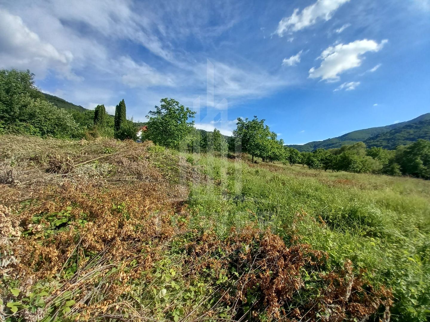 Teren în Fântânele – 3.673 mp, pârâu si cadru natural  deosebit - Poză 12
