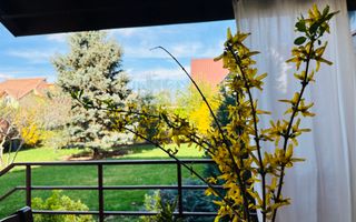 Oferta Inchiriata - Casa Segmentul Premium, 180 mp | Garaj&Gradina | Fropin - Poză 38