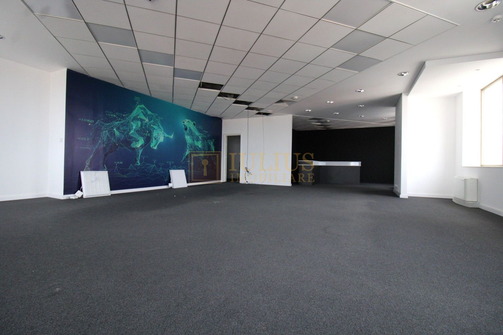 Birouri 60m,  vizavi de Iulius Mall - Poză 5