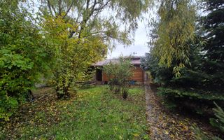 Un colț de verde, la doi pași de lac. - Poză 9