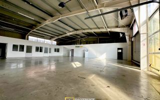 Hala mixta 800 mp de inchiriat – showroom, birouri, depozit – Arad - Poză 6