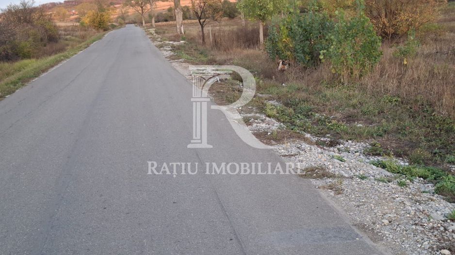 Teren extravilan | 3400 mp  | Hidiselul de Sus | Oradea | Bihor - Poză 4