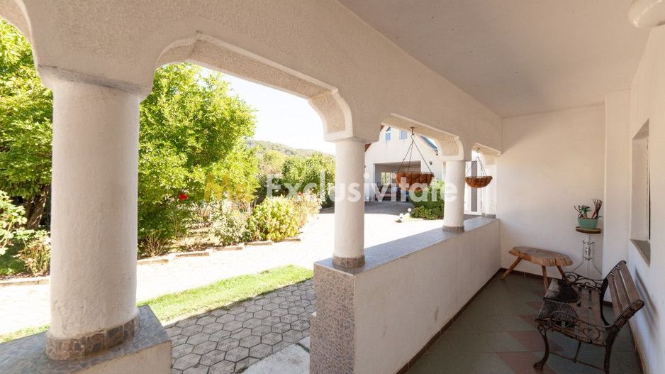 Casa visurilor cu 4000 mp livada roditoare si gradina Darmanesti-Arges - Poză 11