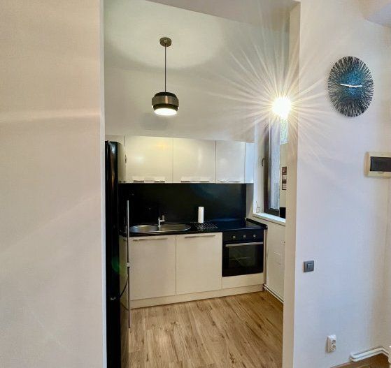 Unirii zona Marriott, Casa/Vila P+1+curte, Comercial sau Rezidential - Poză 6