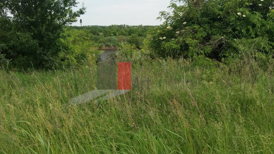 Teren cu iesire la lac - Poză 28