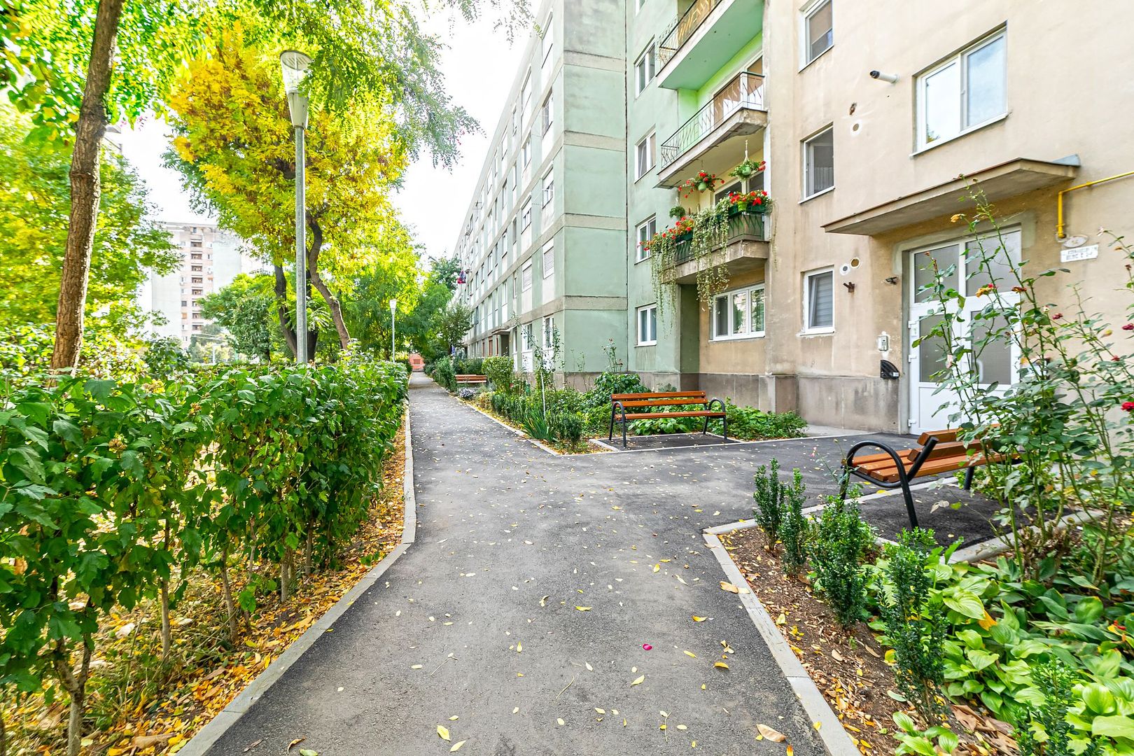 Apartament  3 camere  Calea Romanilor - Poză 1