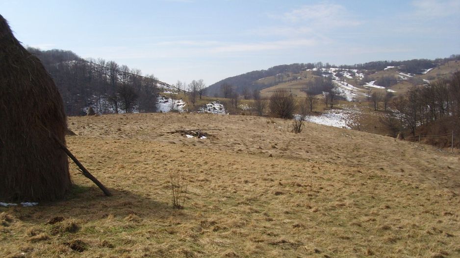 Teren intravilan Rosia, 12 000 mp, cu proiect aprobat. Comision 0. - Poză 7