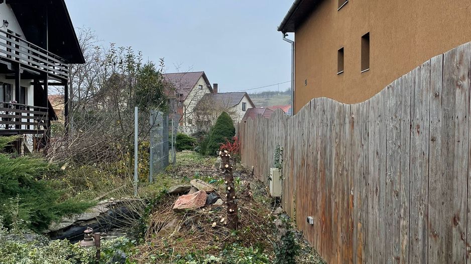 Casa Beius - Poză 17