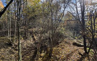 TEREN INTRAVILAN 13167 MP BUGHEA DE SUS ARGES - Poză 19