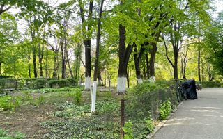 Garsoniera Premium in Vila interbelica**Boxa+Mansarda+Curte/R. Beller/DOROBANTI - Poză 40