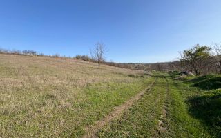 Teren pentru grădină / investiție – 14,86 ari în Ghidighici, zonă liniștită și ecologică - Poză 5