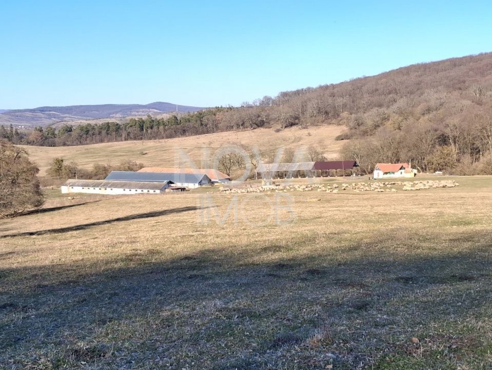 Ferma complet echipata de vanzare – zona Agnita, judetul Sibiu - Poză 2