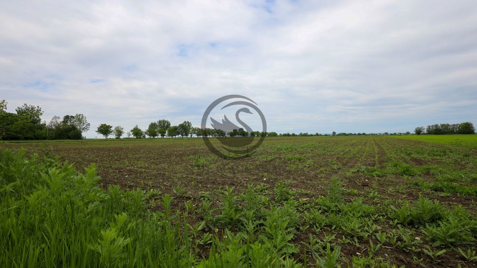 Teren de vanzare in Manesti, Prahova | 18.000 mp | Deschidere 60 ml - Poză 2